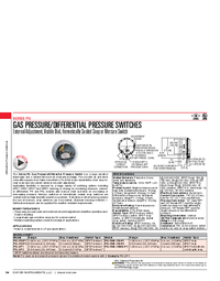 Thumbnail of document Brochure - PG Gas Pressure/Differential Pressure Switch